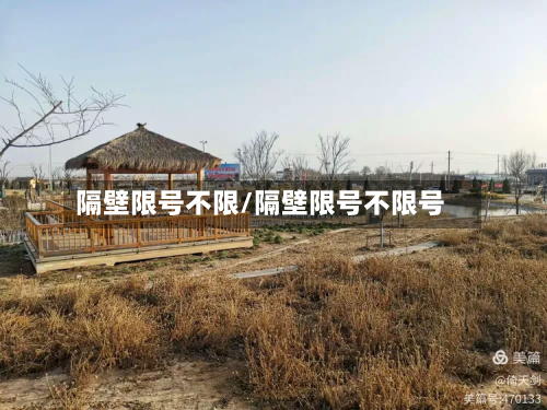 隔壁限号不限/隔壁限号不限号-第2张图片