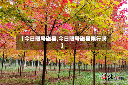 【今日限号磁县,今日限号磁县限行吗】-第3张图片