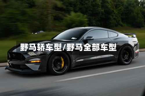 野马轿车型/野马全部车型