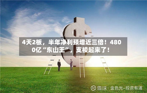 4天2板，半年净利预增近三倍！4800亿“东山王”	，支棱起来了！-第2张图片