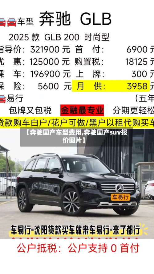 【奔驰国产车型费用,奔驰国产suv报价图片】