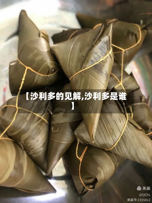 【沙利多的见解,沙利多是谁】-第2张图片