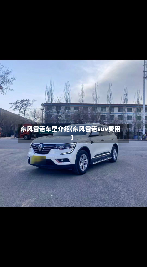 东风雷诺车型介绍(东风雷诺suv费用)