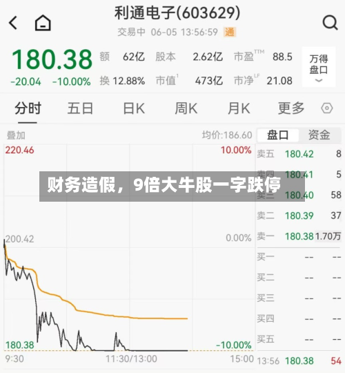财务造假	，9倍大牛股一字跌停-第3张图片