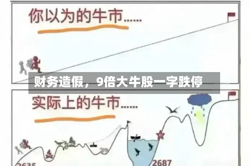 财务造假，9倍大牛股一字跌停
