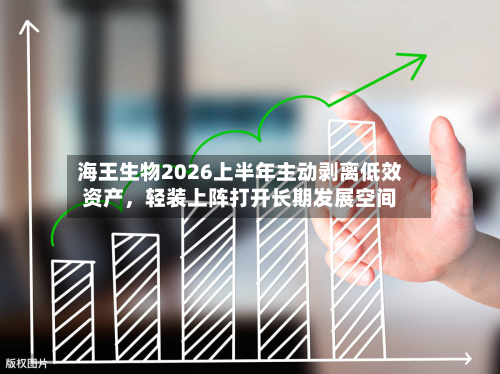 海王生物2026上半年主动剥离低效资产，轻装上阵打开长期发展空间-第2张图片