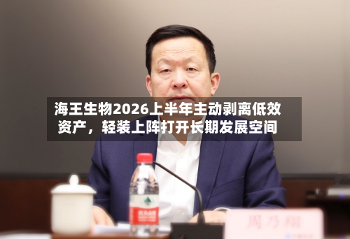 海王生物2026上半年主动剥离低效资产，轻装上阵打开长期发展空间-第3张图片