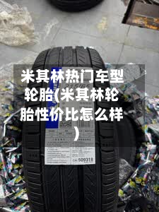 米其林热门车型轮胎(米其林轮胎性价比怎么样)-第2张图片
