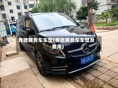 奔驰商务车车型(奔驰商务车车型及费用)-第3张图片