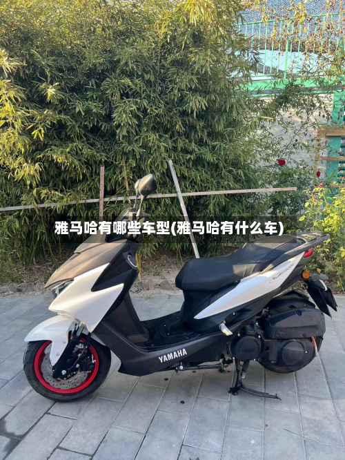 雅马哈有哪些车型(雅马哈有什么车)-第2张图片