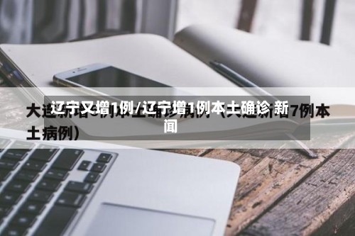 辽宁又增1例/辽宁增1例本土确诊 新闻-第2张图片