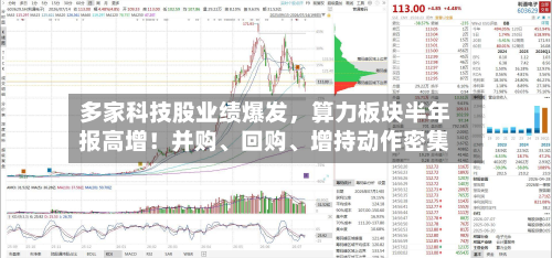 多家科技股业绩爆发，算力板块半年报高增！并购	、回购、增持动作密集-第2张图片