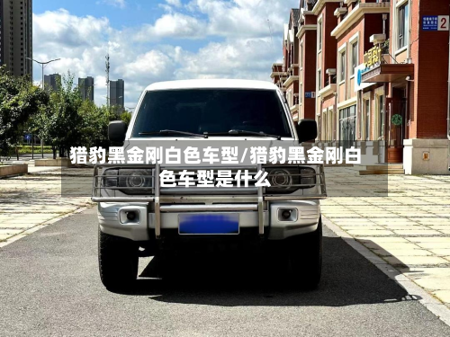 猎豹黑金刚白色车型/猎豹黑金刚白色车型是什么-第2张图片