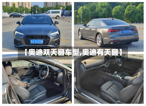 【奥迪双天窗车型,奥迪有天窗】-第3张图片