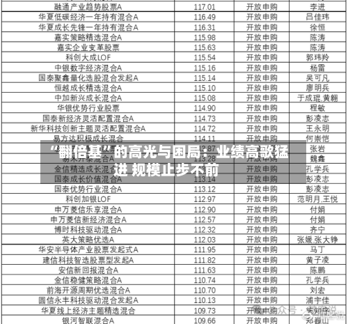 “翻倍基	”的高光与困局：业绩高歌猛进 规模止步不前-第2张图片