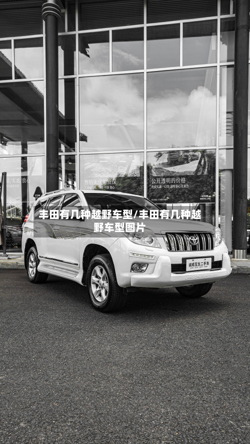 丰田有几种越野车型/丰田有几种越野车型图片-第2张图片