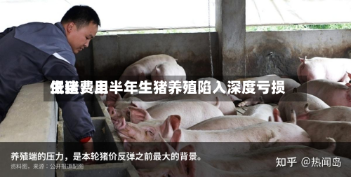 生猪费用低迷	，上半年生猪养殖陷入深度亏损-第1张图片