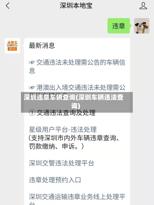 深圳违章车辆查询(深圳车辆违法查询)-第3张图片