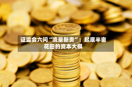 证监会六问“流量新贵”：起底半亩花田的资本大棋-第2张图片
