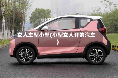 女人车型小型(小型女人开的汽车)