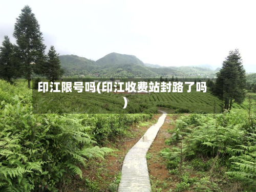 印江限号吗(印江收费站封路了吗)-第2张图片