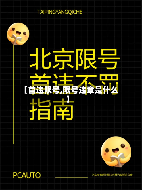 【首违限号,限号违章是什么】-第2张图片
