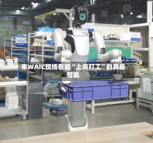 来WAIC现场看能“上岗打工”的具身智能-第2张图片