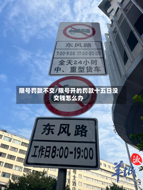 限号罚款不交/限号开的罚款十五日没交钱怎么办-第2张图片