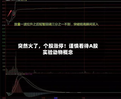 突然火了，个股涨停！谨慎看待A股实验动物概念-第2张图片
