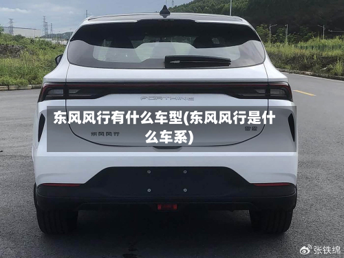 东风风行有什么车型(东风风行是什么车系)