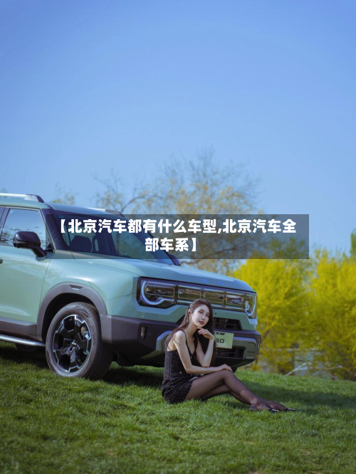 【北京汽车都有什么车型,北京汽车全部车系】