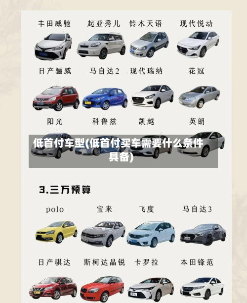低首付车型(低首付买车需要什么条件具备)-第3张图片