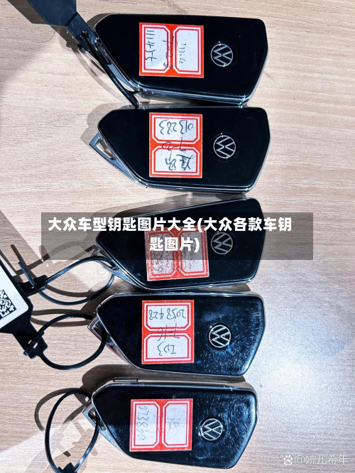 大众车型钥匙图片大全(大众各款车钥匙图片)-第2张图片