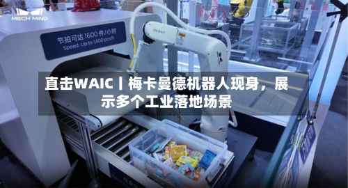 直击WAIC丨梅卡曼德机器人现身，展示多个工业落地场景-第3张图片