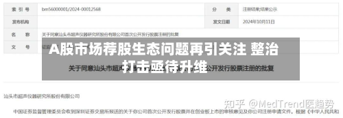 A股市场荐股生态问题再引关注 整治打击亟待升维-第3张图片