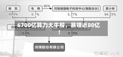 6700亿算力大牛股	，暴赚近80亿！-第1张图片