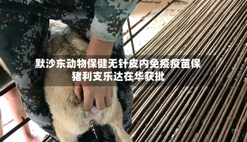默沙东动物保健无针皮内免疫疫苗保猪利支乐达在华获批