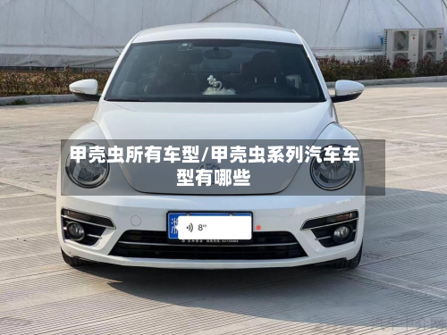 甲壳虫所有车型/甲壳虫系列汽车车型有哪些
