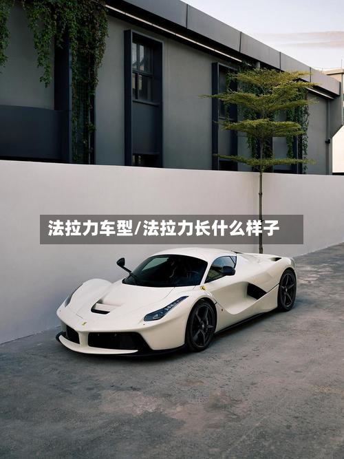 法拉力车型/法拉力长什么样子-第2张图片