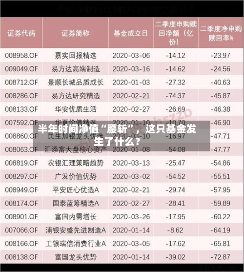 半年时间净值“腰斩”	，这只基金发生了什么？-第2张图片