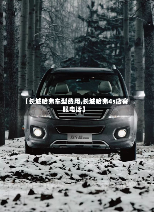 【长城哈弗车型费用,长城哈弗4s店客服电话】
