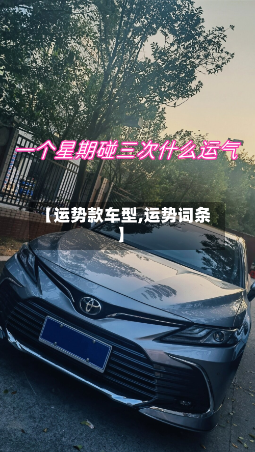 【运势款车型,运势词条】