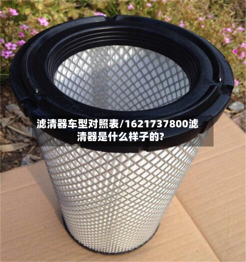 滤清器车型对照表/1621737800滤清器是什么样子的?-第2张图片