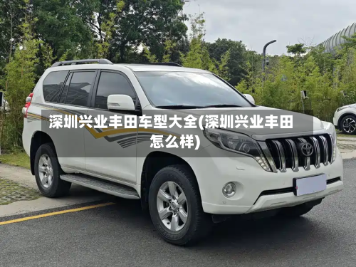 深圳兴业丰田车型大全(深圳兴业丰田怎么样)