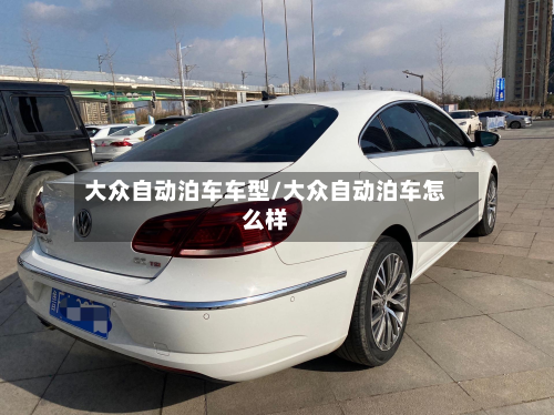 大众自动泊车车型/大众自动泊车怎么样-第3张图片