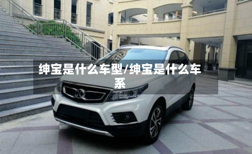 绅宝是什么车型/绅宝是什么车系-第2张图片