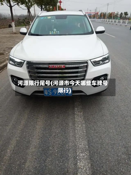 河源限行尾号(河源市今天哪些车牌号限行)