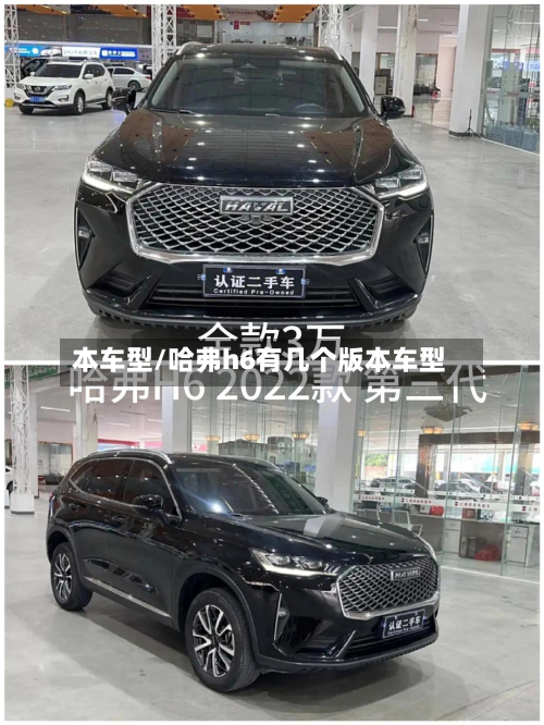 本车型/哈弗h6有几个版本车型-第1张图片