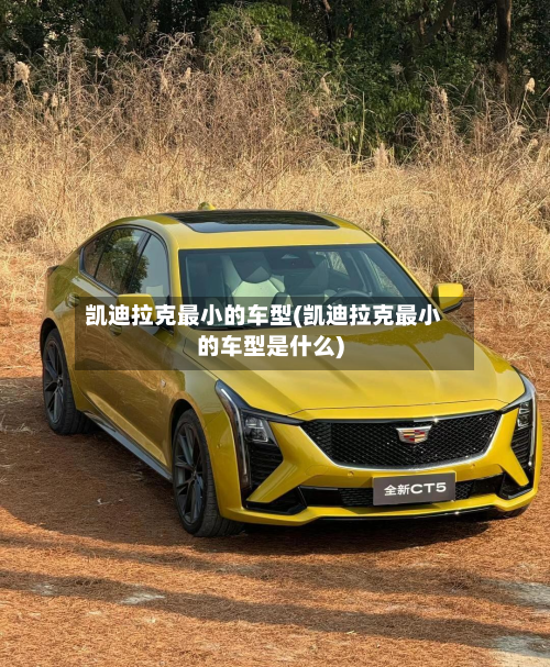 凯迪拉克最小的车型(凯迪拉克最小的车型是什么)-第2张图片