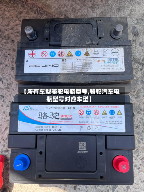 【所有车型骆驼电瓶型号,骆驼汽车电瓶型号对应车型】-第2张图片